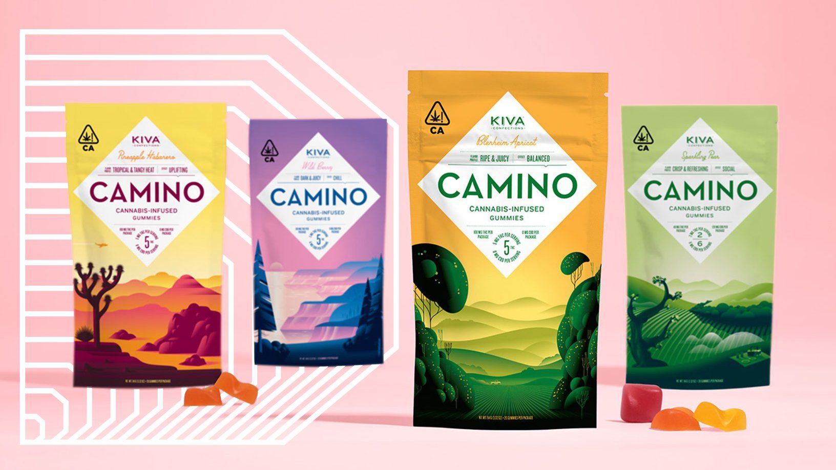 Camino Midnight Blueberry Gummies | Sleep Edibles Camino Midnight Blueberry Sleep Gummies tin – THC + CBN formula