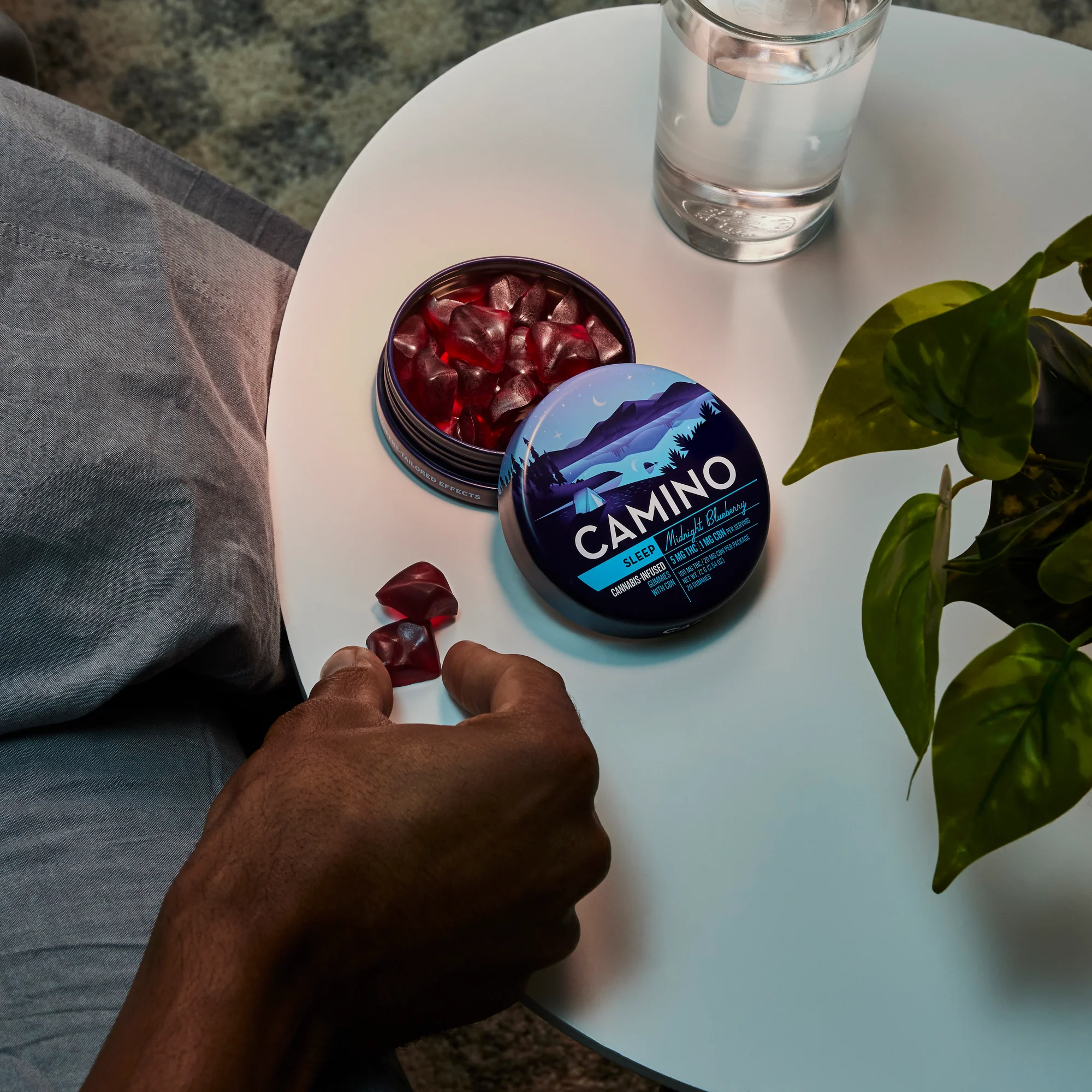 camino midnight blueberry sleep gummies camino midnight blueberry sleep gummies