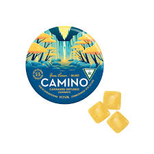 Camino Sleep Gummies – Bedtime Routine Camino Sleep Gummies on nightstand beside lavender and book